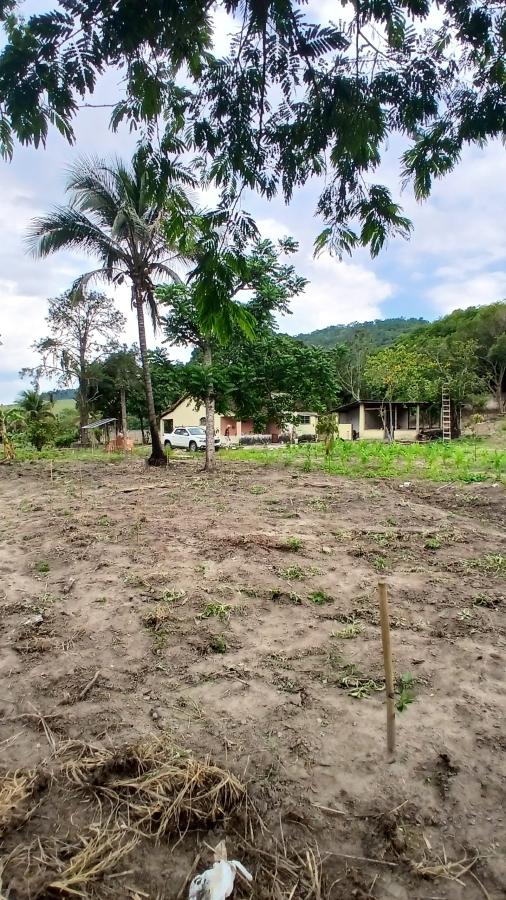 Fazenda à venda com 2 quartos, 31000m² - Foto 17