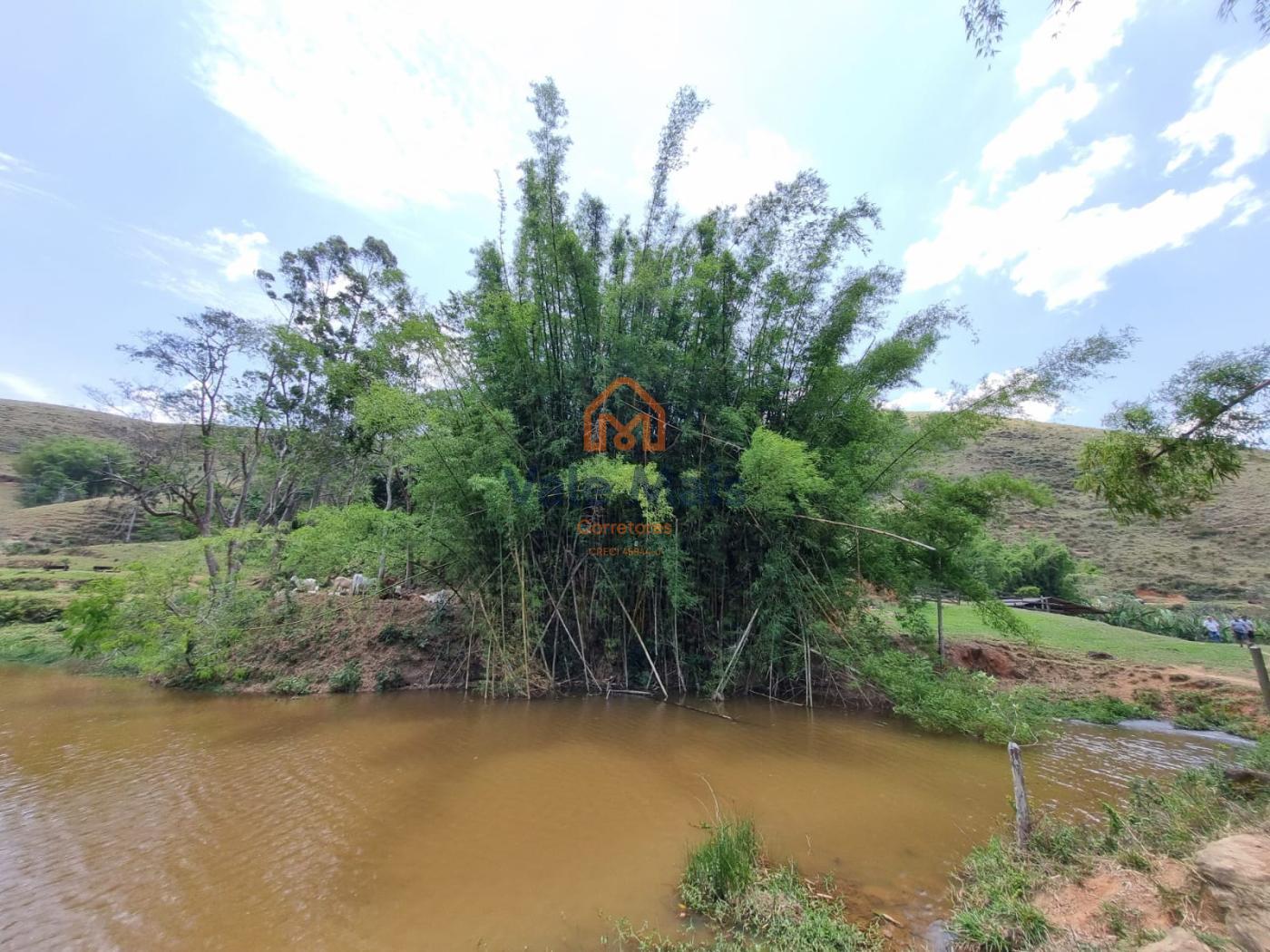 Fazenda à venda com 3 quartos, 1029126m² - Foto 36