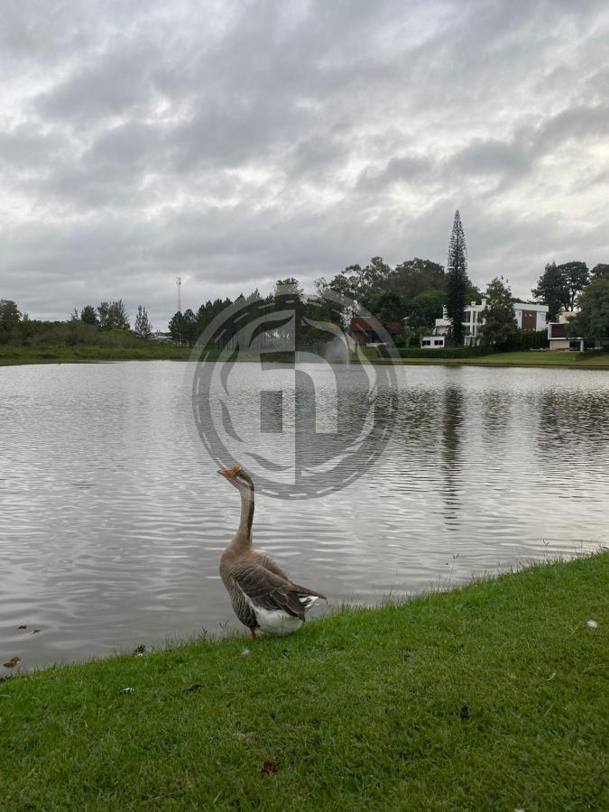 Casa de Condomínio à venda com 4 quartos, 480m² - Foto 39