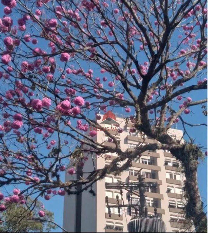 Apartamento à venda com 2 quartos, 115m² - Foto 12