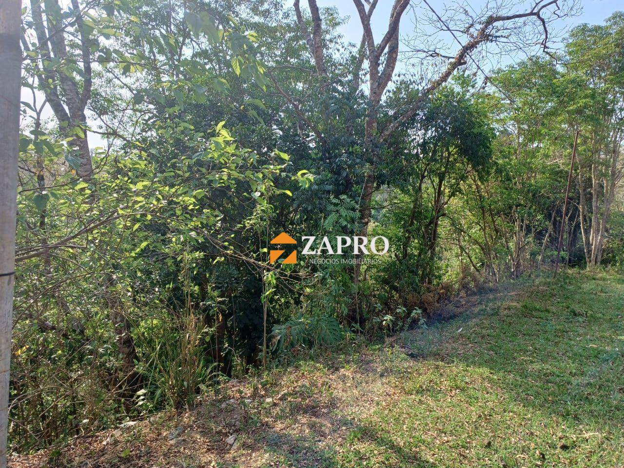 Terreno, 3 hectares - Foto 10