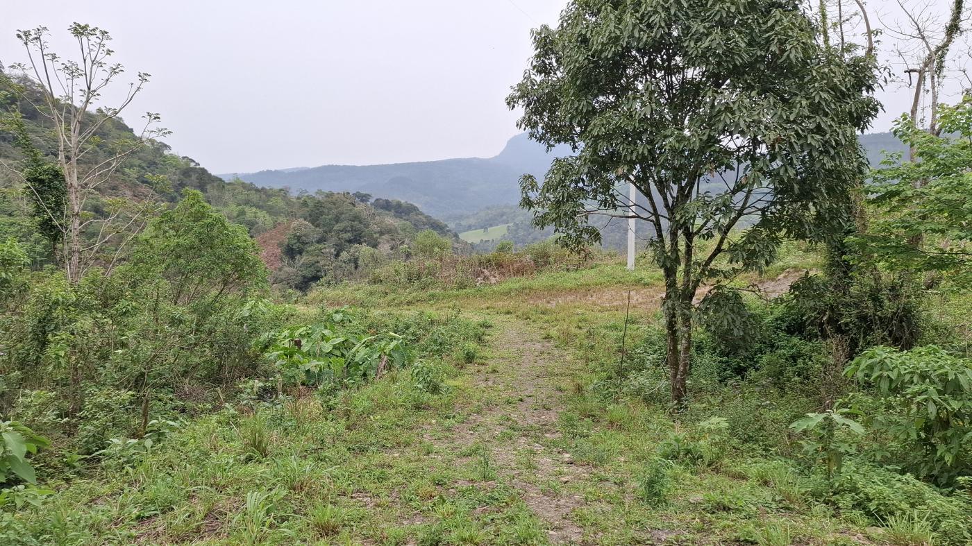 Fazenda à venda, 40000m² - Foto 18