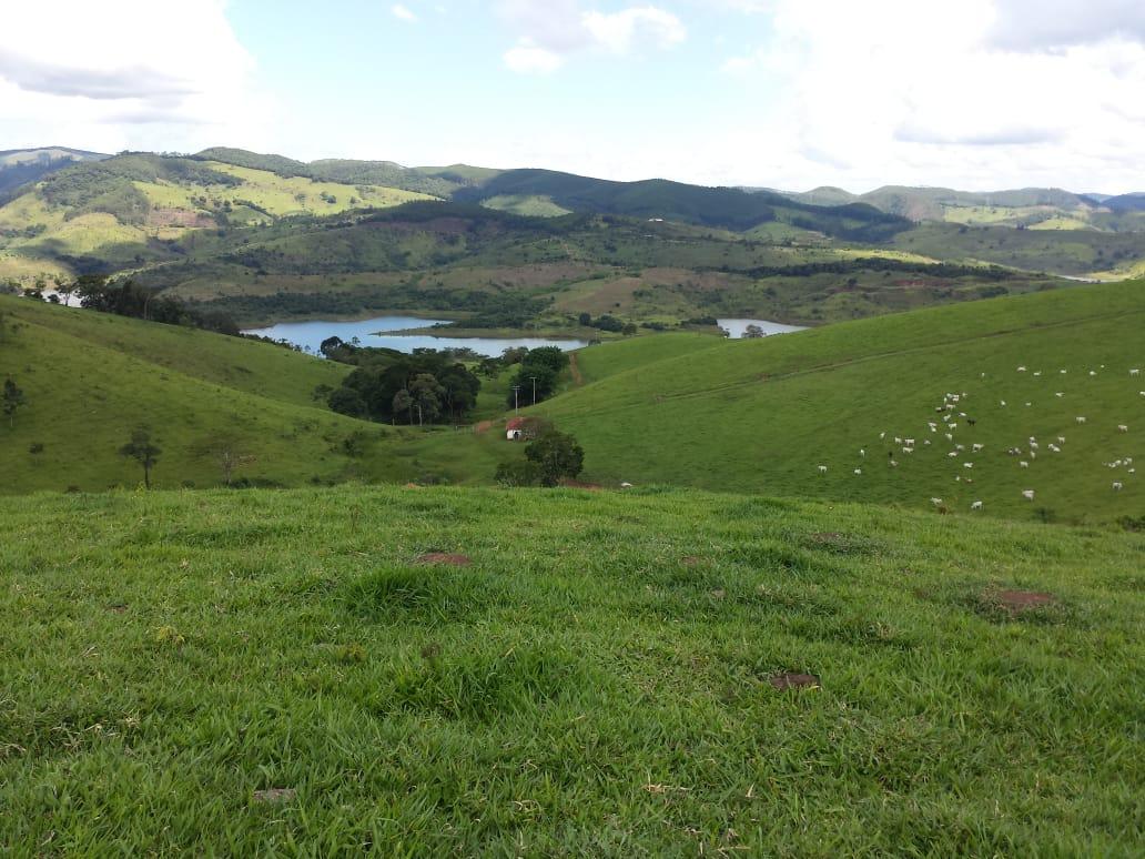 Fazenda à venda com 1 quarto, 120m² - Foto 4
