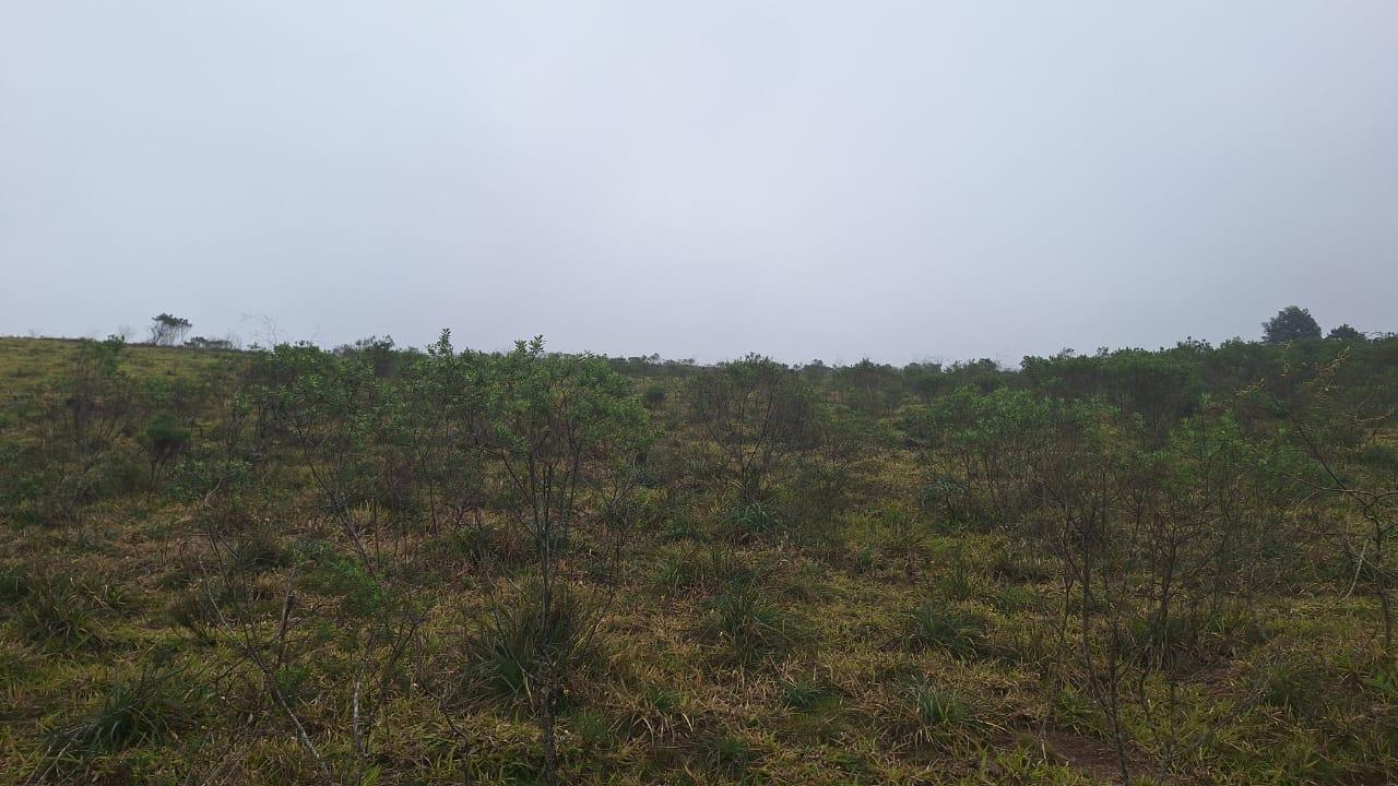 Loteamento e Condomínio à venda, 160000m² - Foto 10