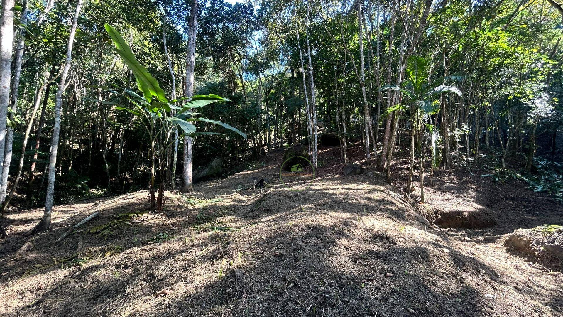 Terreno, 10000 m² - Foto 16