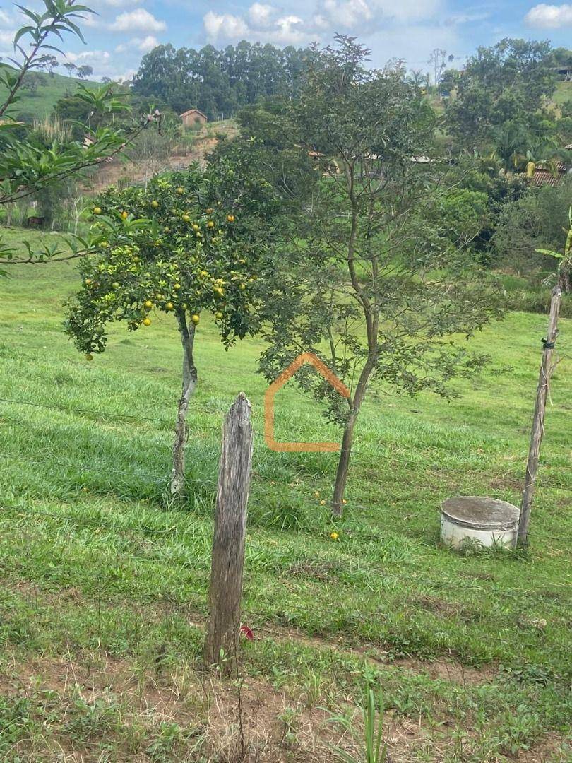 Sítio, 1 quarto, 1 hectares - Foto 2