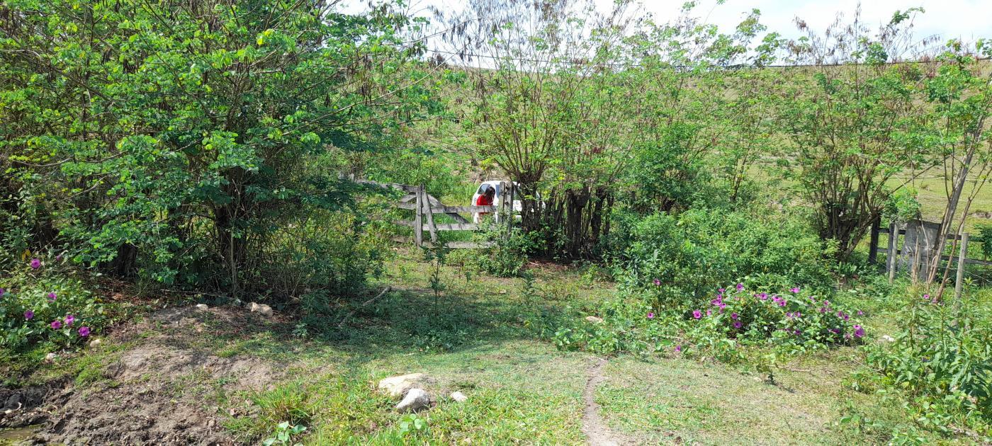 Fazenda à venda com 2 quartos, 20000m² - Foto 5