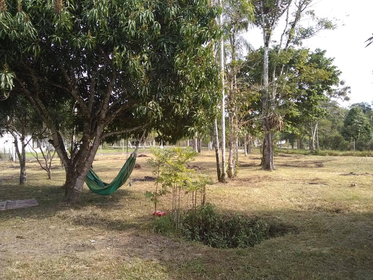 Fazenda à venda com 2 quartos, 3500m² - Foto 13