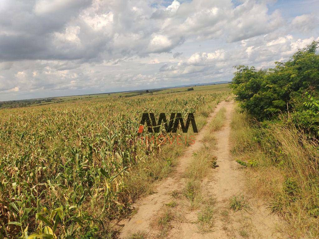 Fazenda-Sítio-Chácara, 16000 hectares - Foto 23