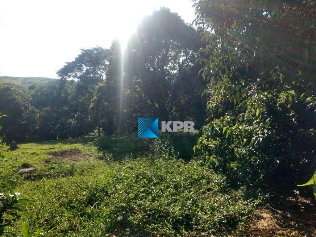 Chácara, 9 quartos, 4 hectares - Foto 19