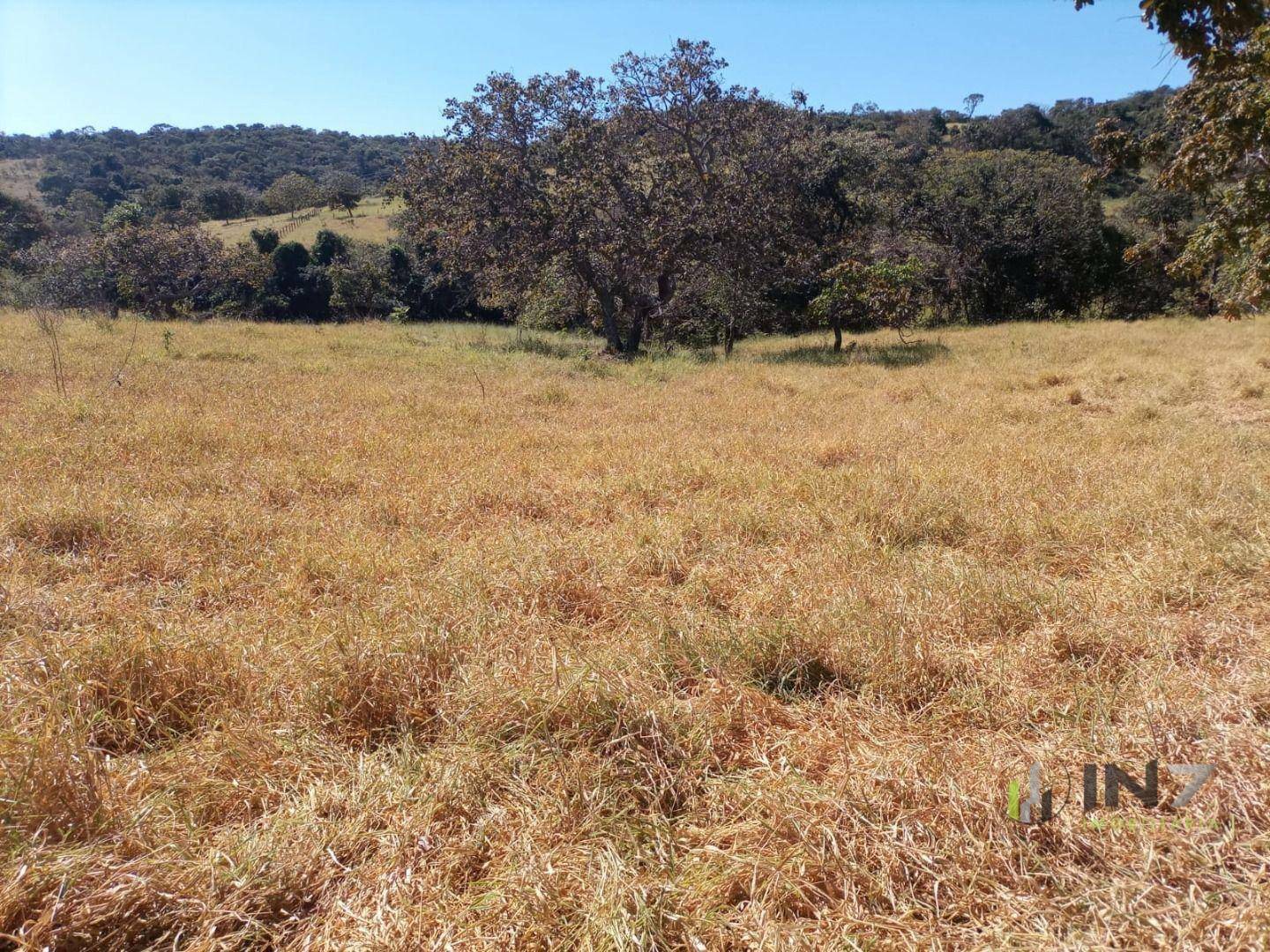 Fazenda à venda, 300000M2 - Foto 1