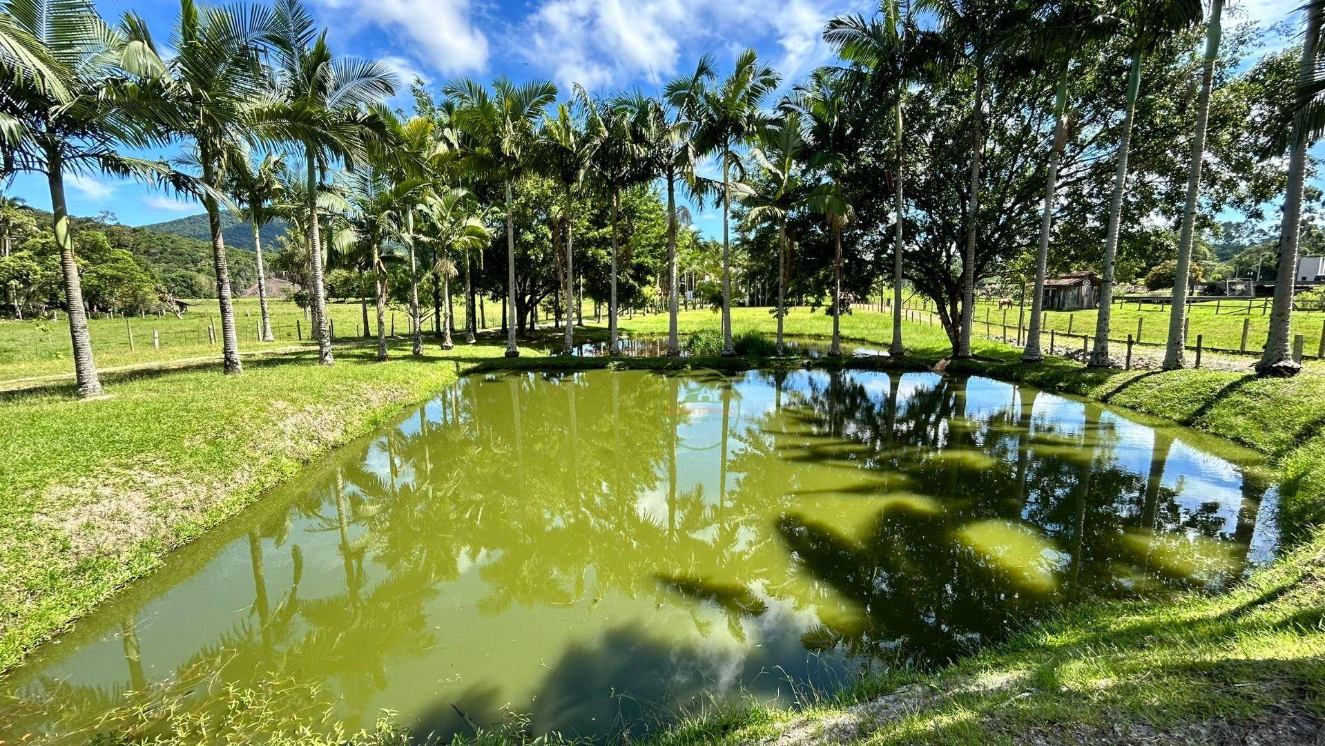 Chácara, 2 hectares - Foto 85