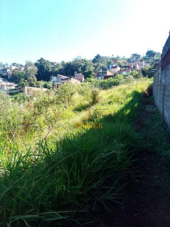 Terreno à venda, 292M2 - Foto 3