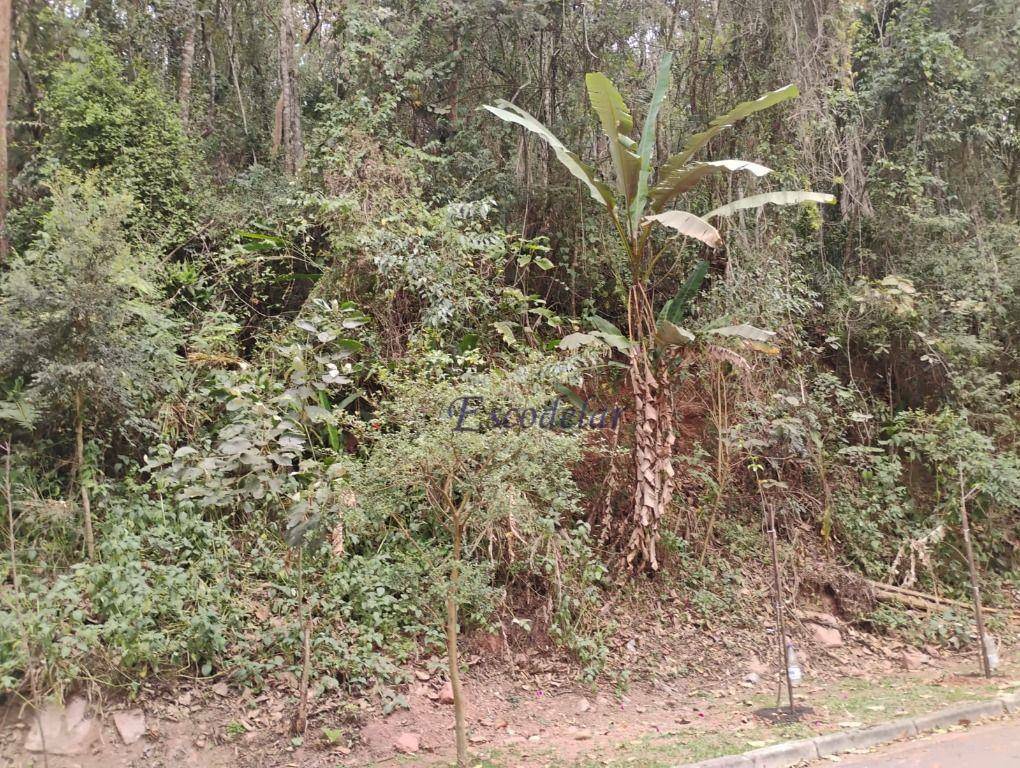 Terreno à venda, 1100M2 - Foto 8