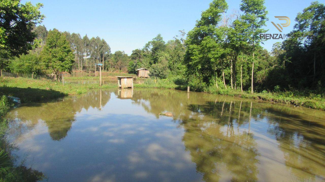 Sítio à venda com 1 quarto, 36000M2 - Foto 6