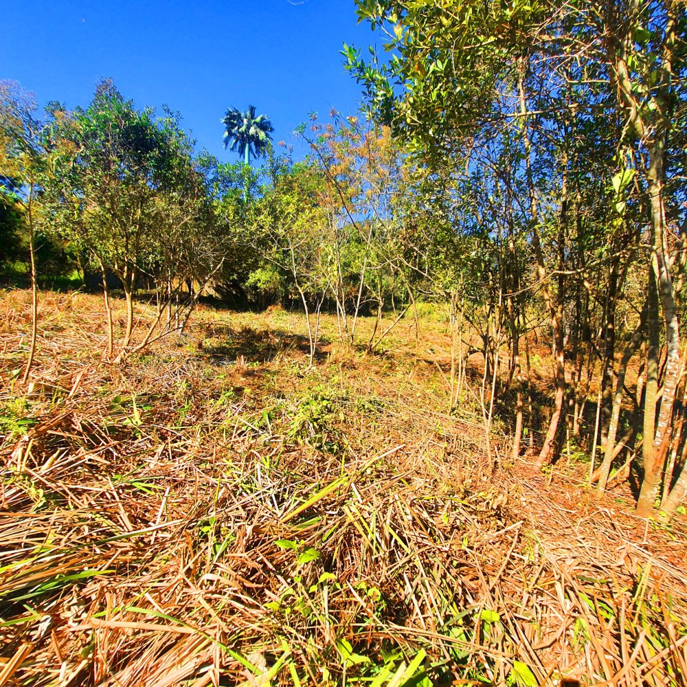 Terreno à venda, 1290m² - Foto 18