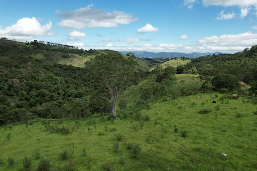 Terreno à venda, 75000M2 - Foto 7