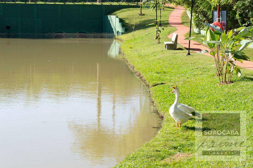 Casa de Condomínio à venda com 3 quartos, 187m² - Foto 23