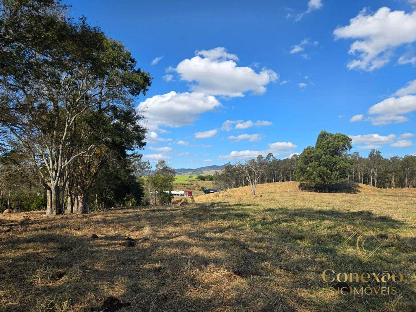Fazenda, 145 hectares - Foto 3