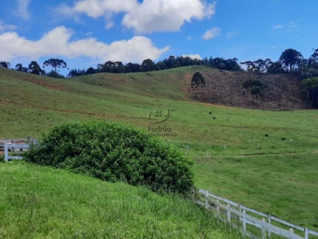 Fazenda à venda com 6 quartos, 1000m² - Foto 11