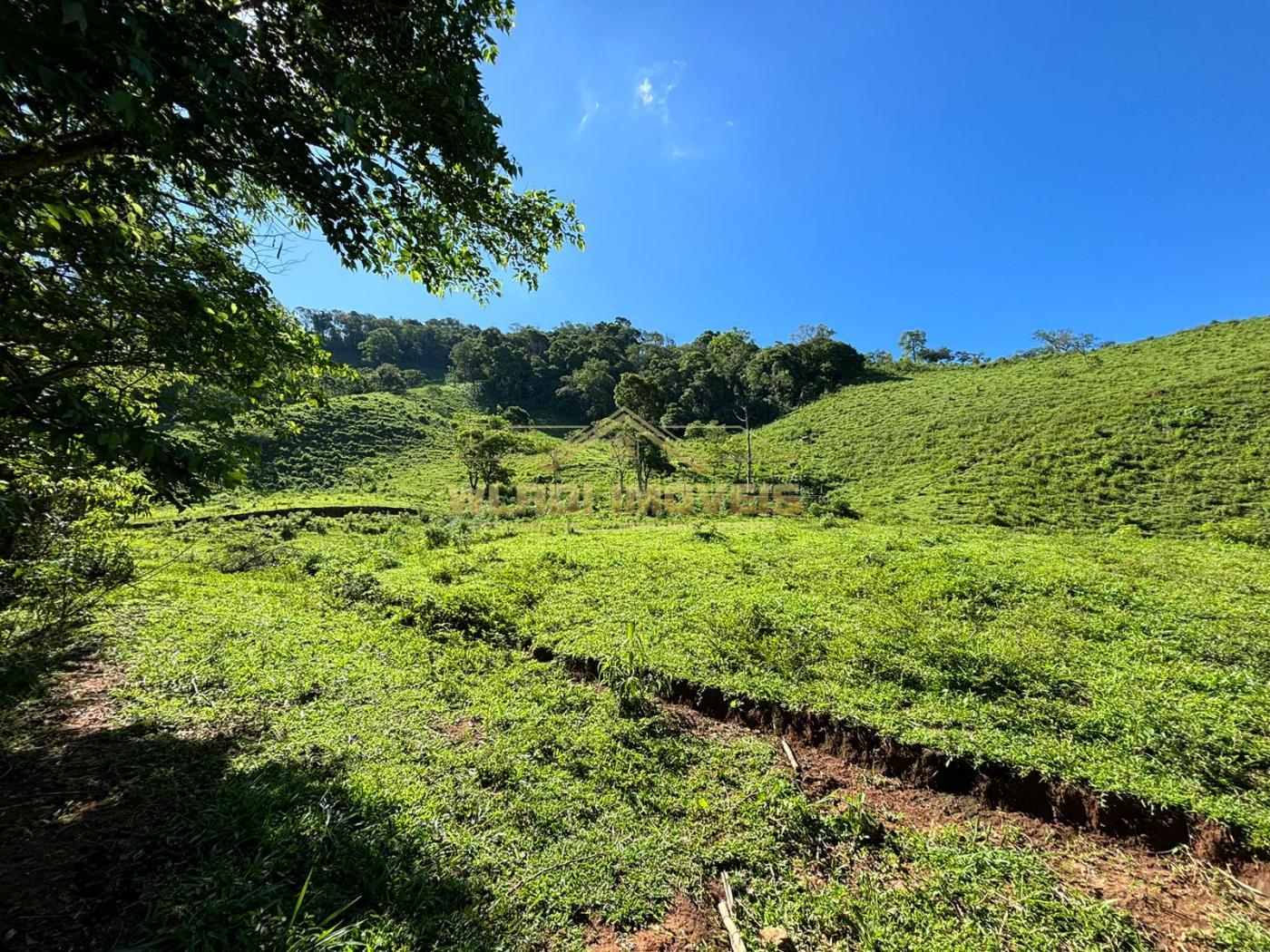 Fazenda à venda, 72000m² - Foto 13