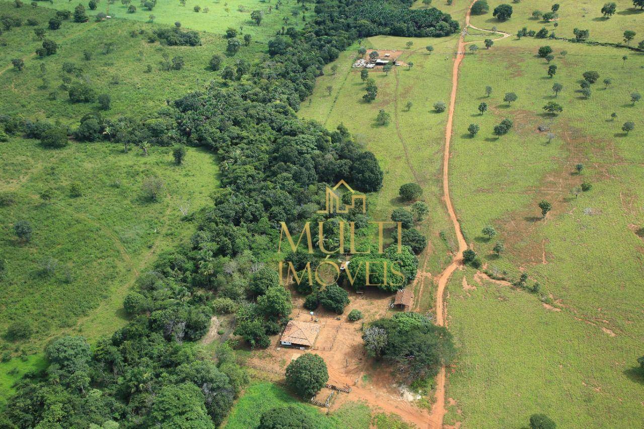 Fazenda à venda com 3 quartos, 29040000M2 - Foto 4