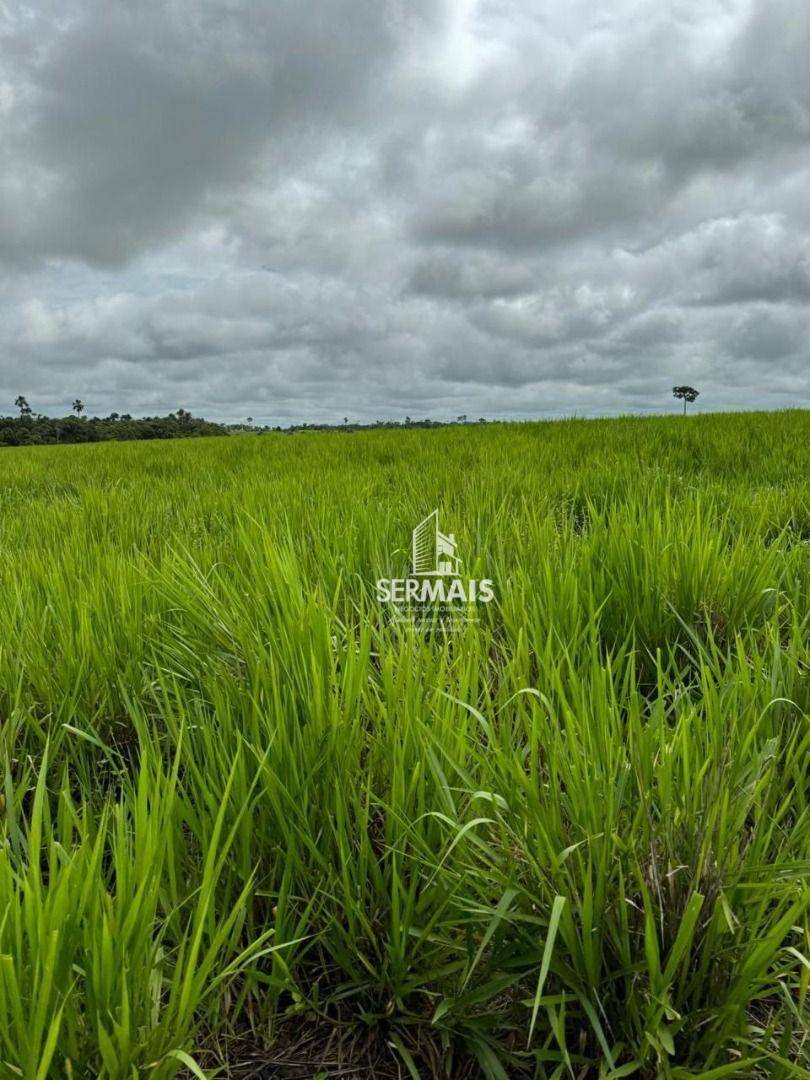 Fazenda-Sítio-Chácara, 242 hectares - Foto 4