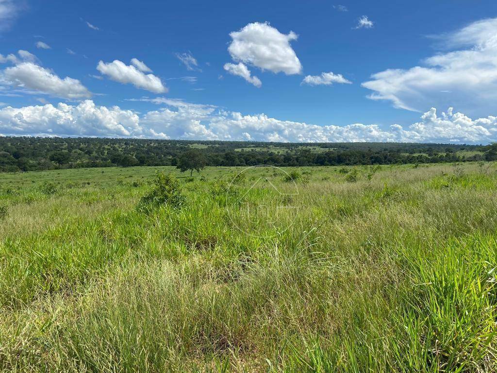 Fazenda à venda, 4840000M2 - Foto 6