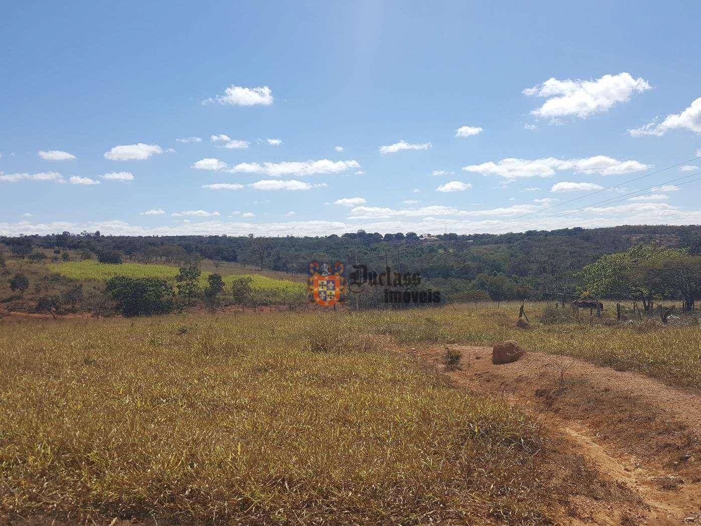 Fazenda, 31 hectares - Foto 4