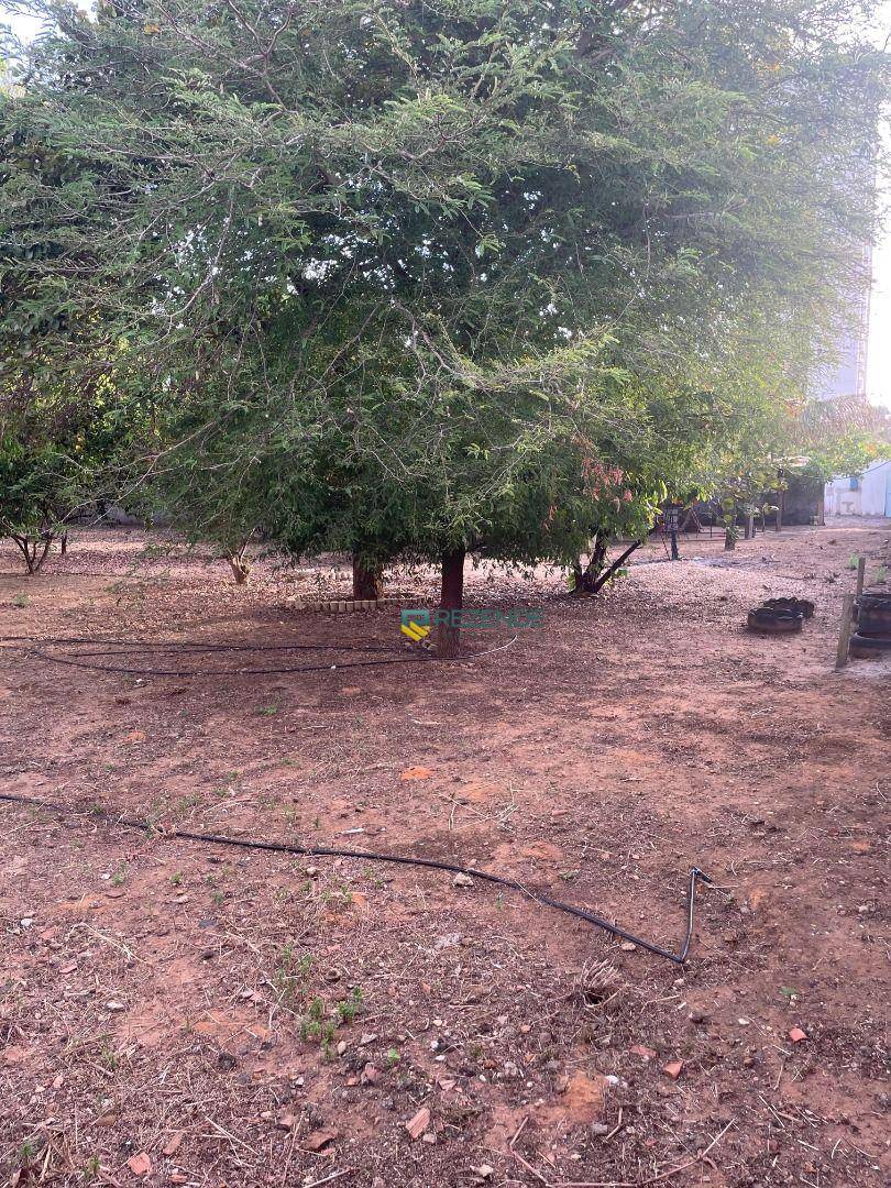 Terreno, 2791 m² - Foto 6