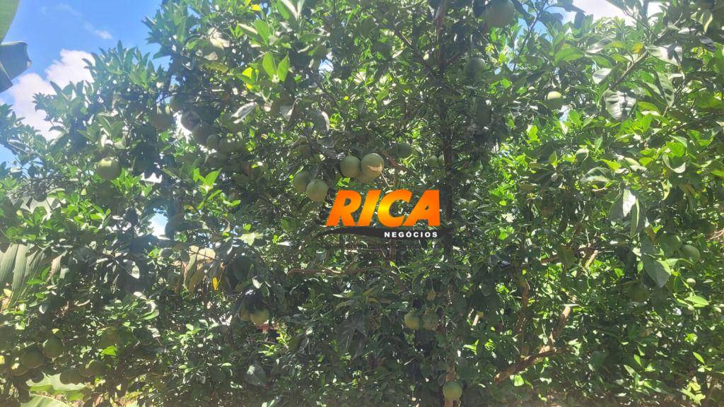 Sítio, 40 hectares - Foto 16