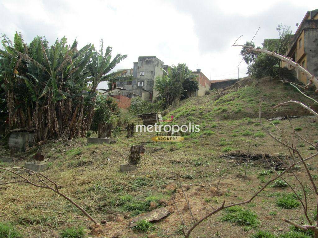 Terreno à venda, 1511M2 - Foto 3