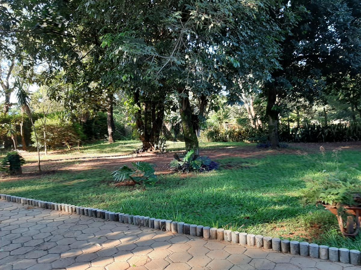 Fazenda à venda com 4 quartos, 6000m² - Foto 30