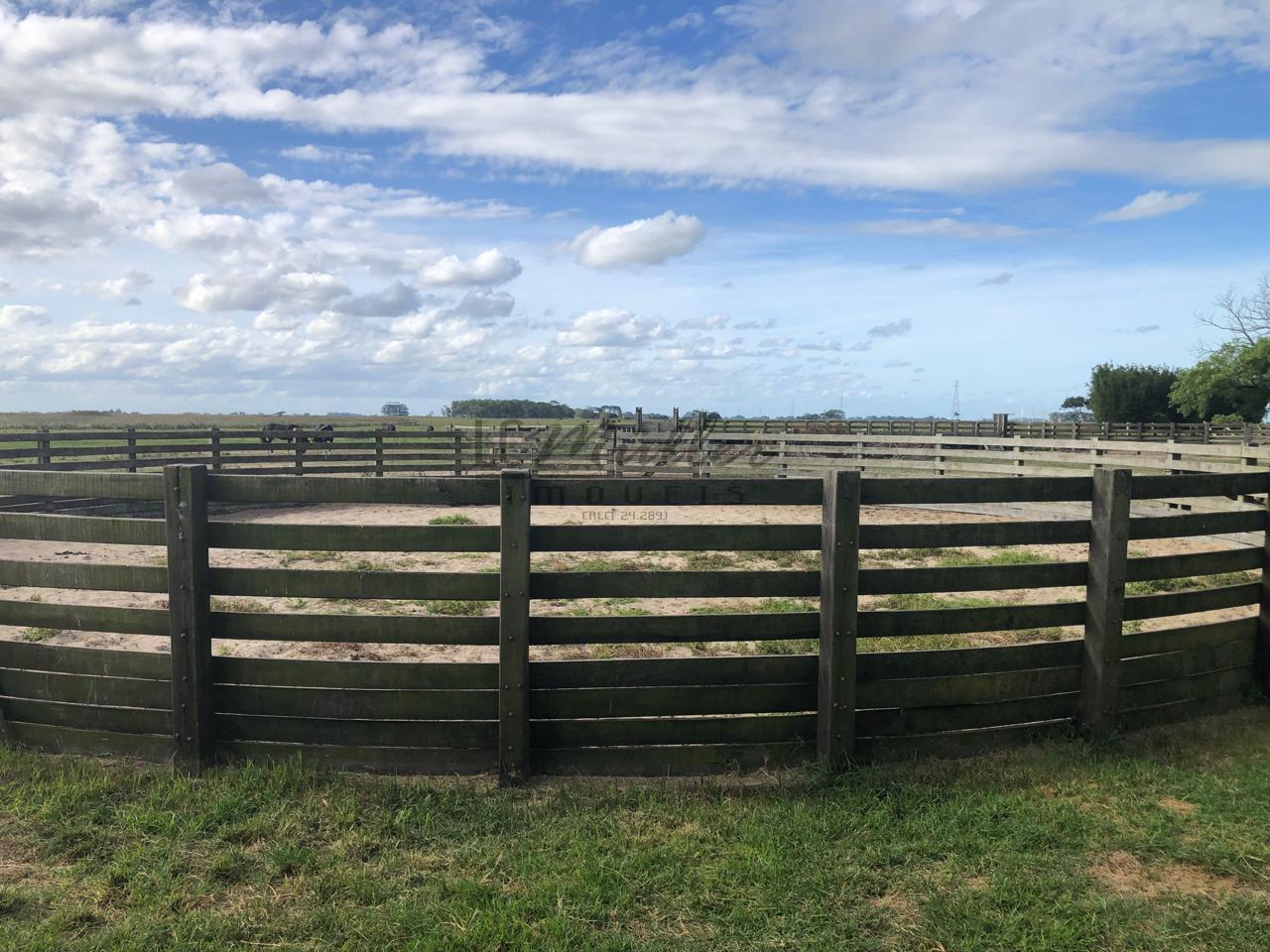 Fazenda à venda, 2300m² - Foto 26