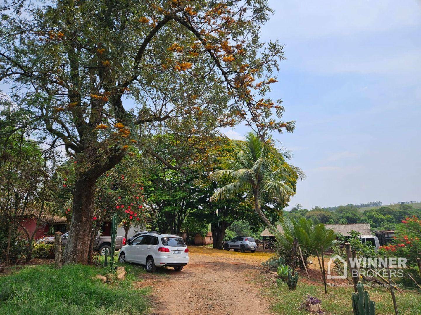 Sítio à venda com 3 quartos, 28000M2 - Foto 9