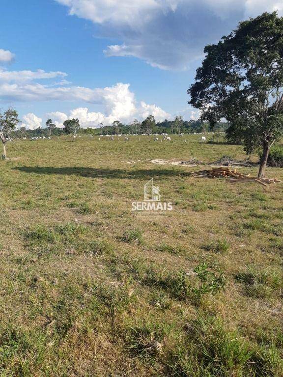 Fazenda à venda com 1 quarto, 14520000M2 - Foto 9