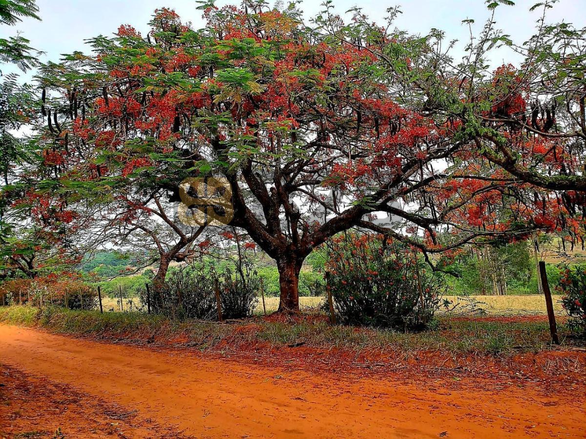 Fazenda à venda com 12 quartos, 900m² - Foto 21