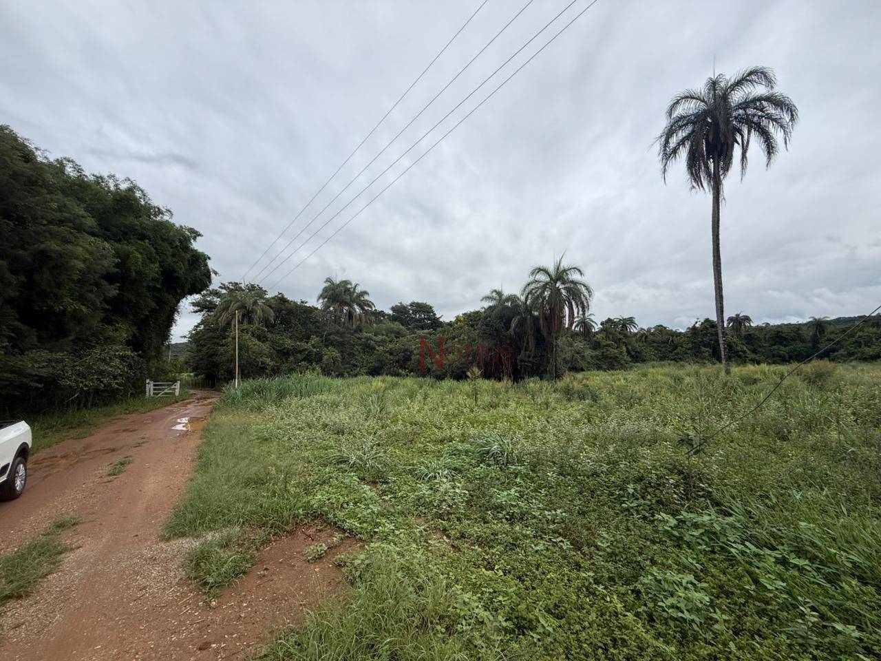 Terreno, 6072 m² - Foto 3