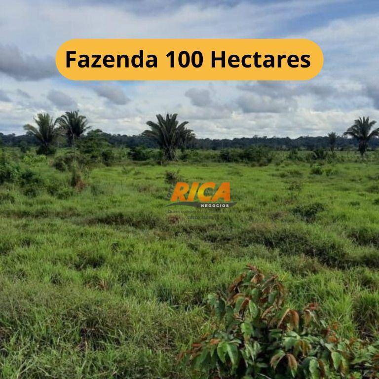Fazenda-Sítio-Chácara, 100 hectares - Foto 1
