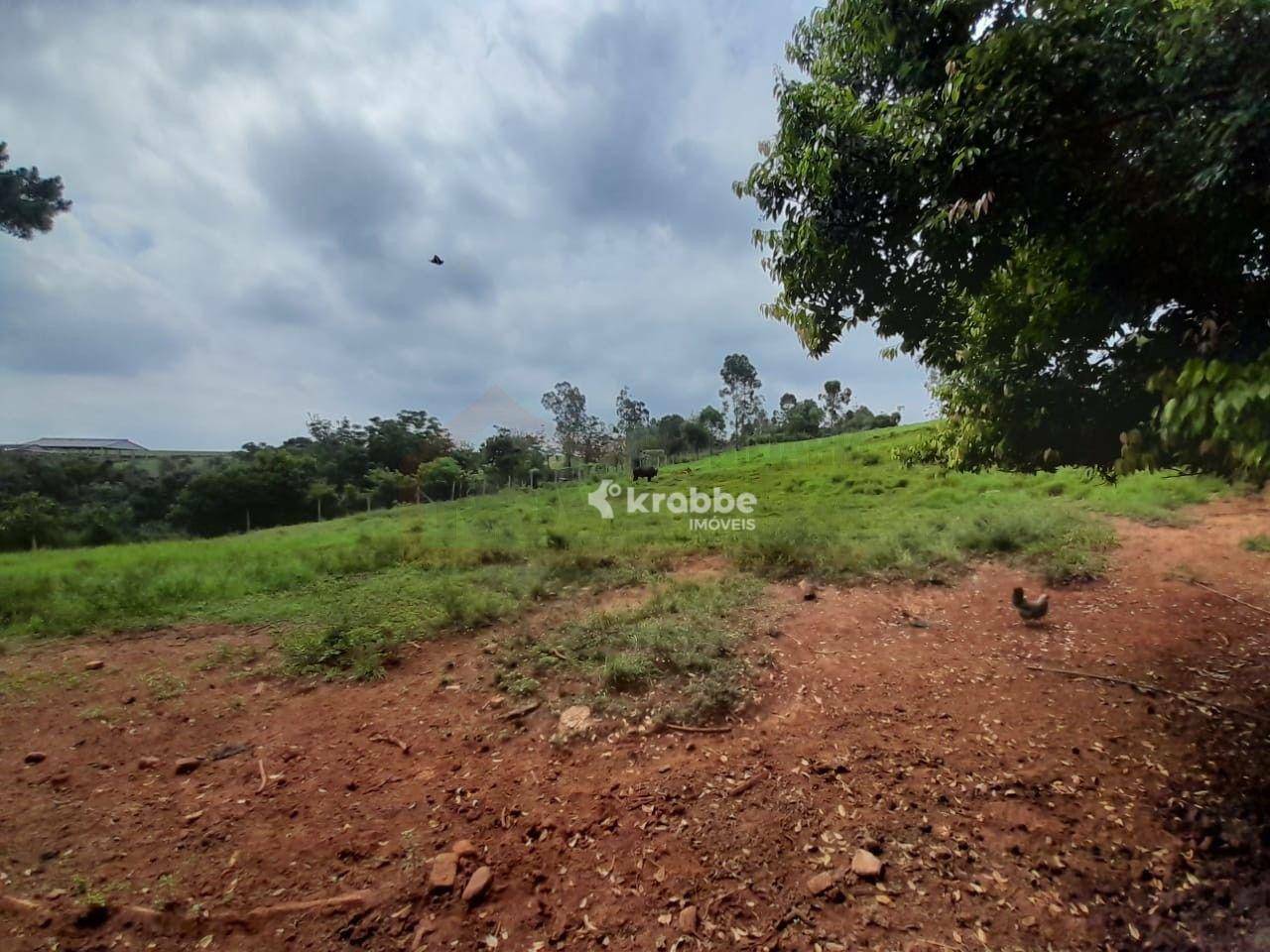 Chácara à venda com 4 quartos, 18000M2 - Foto 8