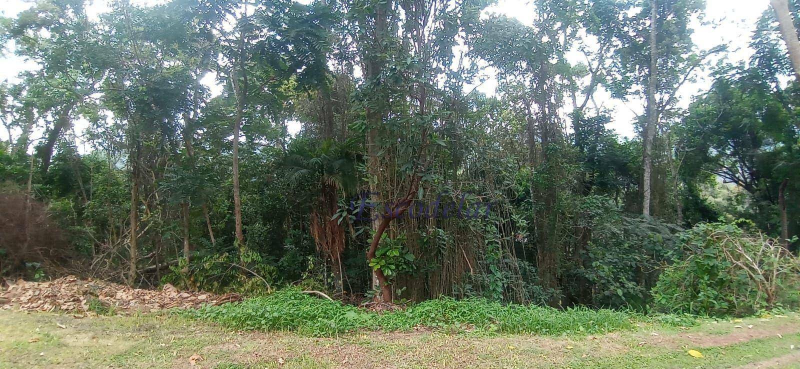 Terreno à venda, 1054M2 - Foto 4