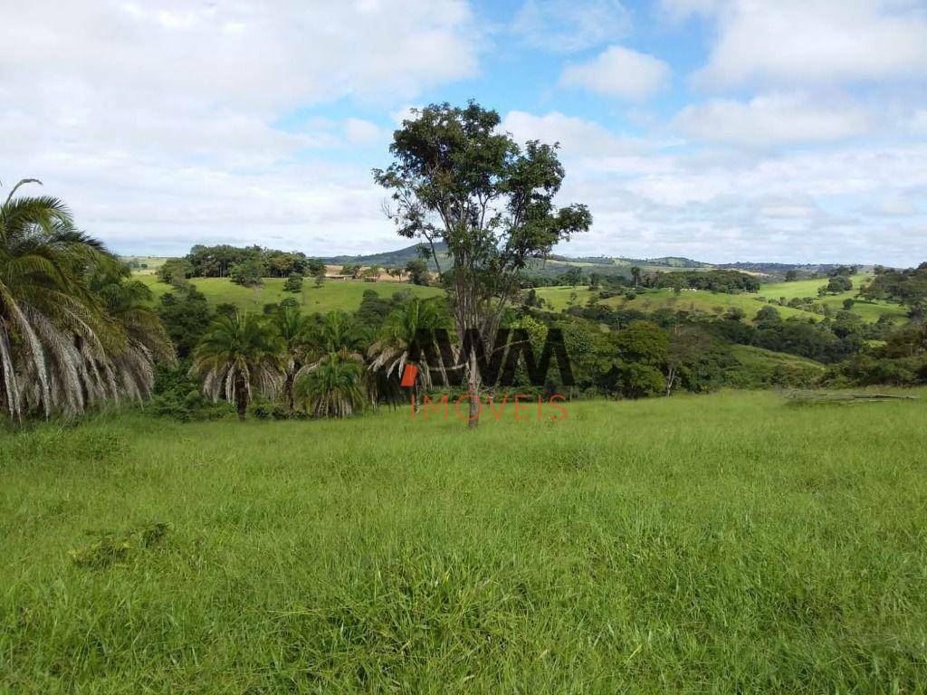 Fazenda à venda, 5008300M2 - Foto 7