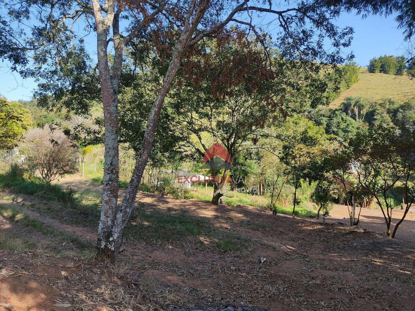 Chácara à venda com 1 quarto, 50m² - Foto 4