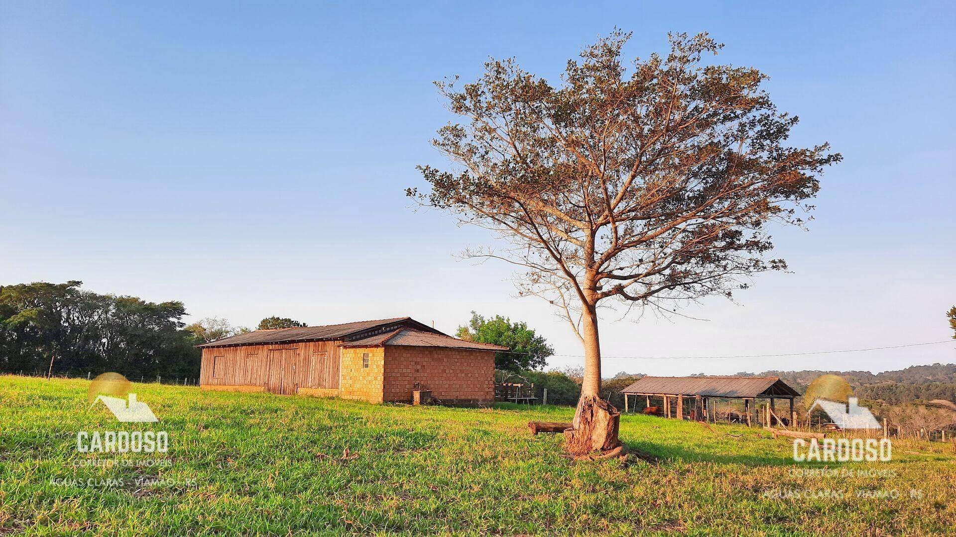 Sítio, 3 hectares - Foto 2