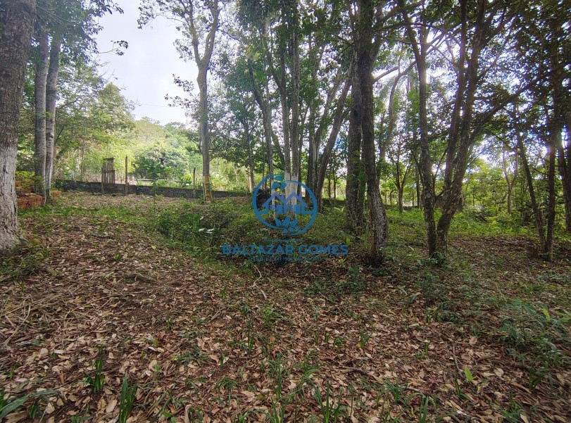 Terreno, 5000 m² - Foto 2