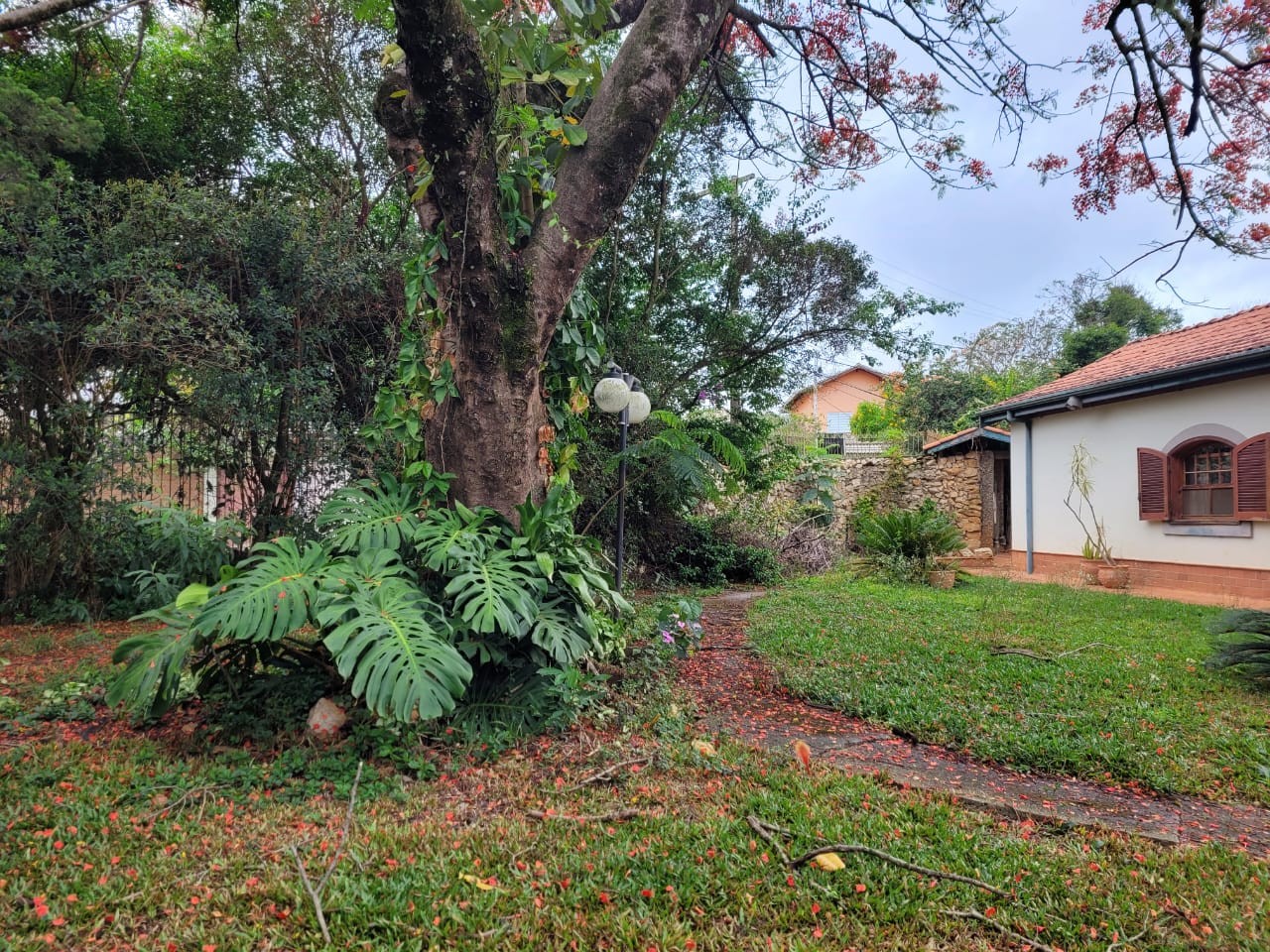 Casa à venda com 4 quartos, 2000m² - Foto 23