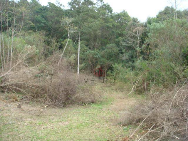 Terreno à venda, 50000M2 - Foto 6