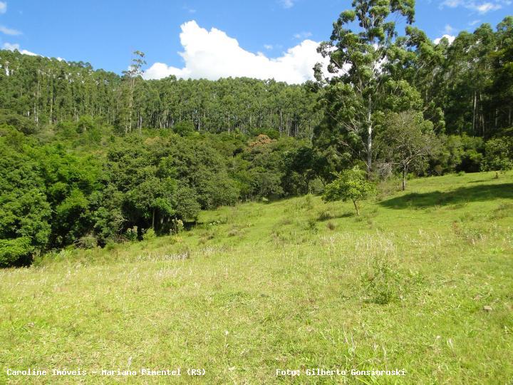 Fazenda à venda com 3 quartos, 160000m² - Foto 21