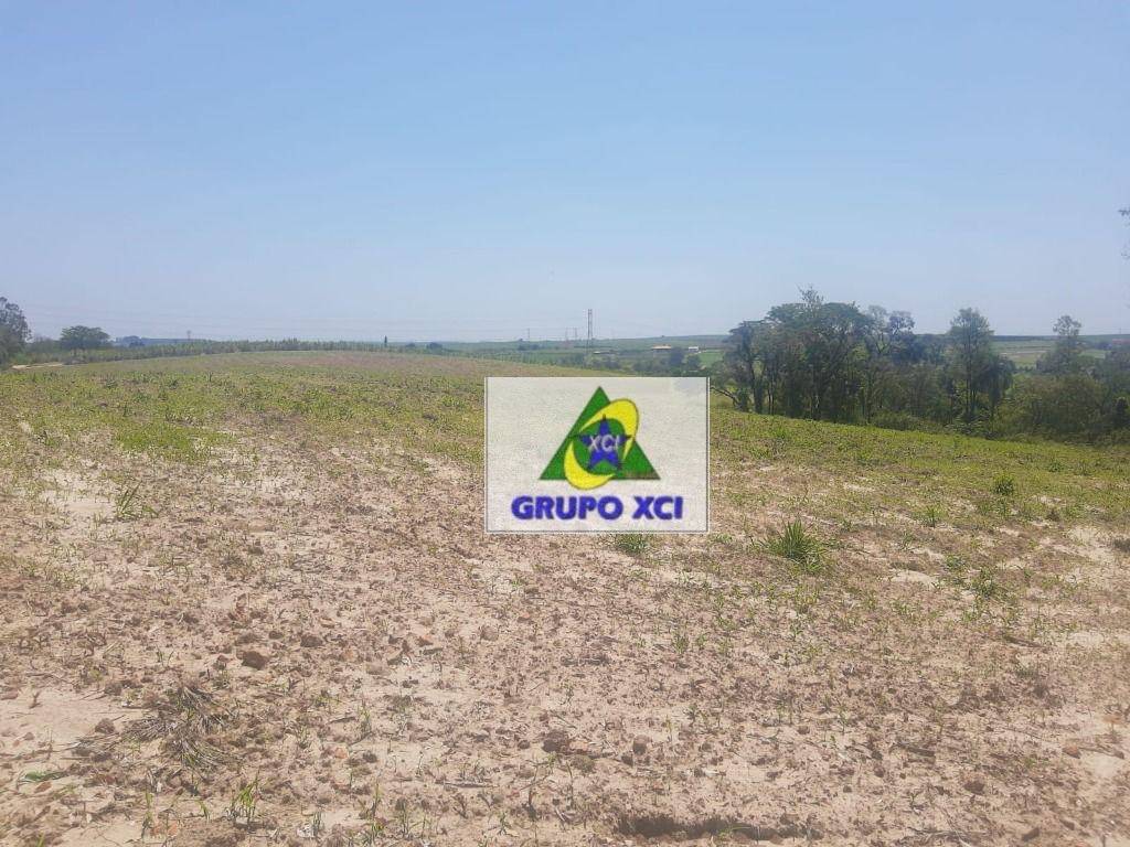 Sítio, 2 quartos, 10 hectares - Foto 13