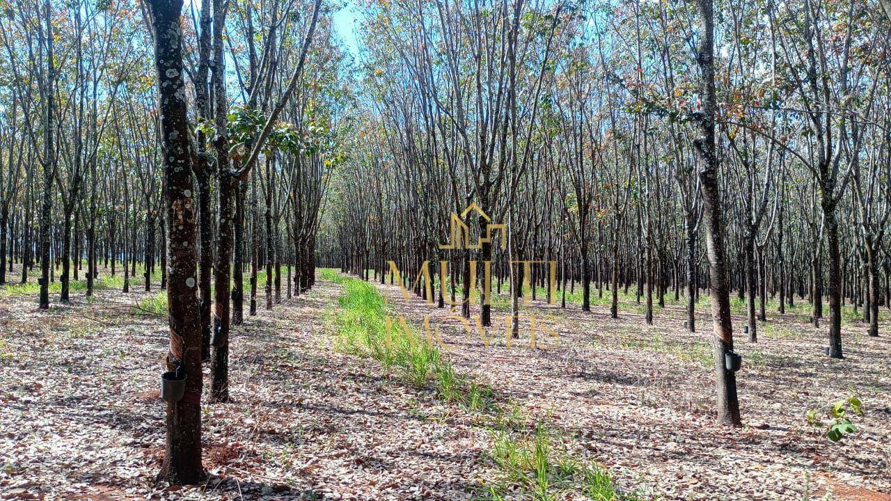 Fazenda à venda, 2541000M2 - Foto 2